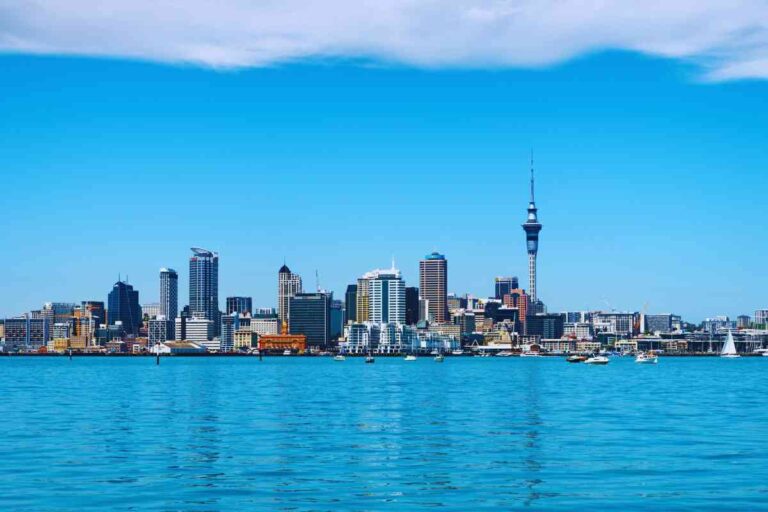 New Zealand Visa Sponsorship Rehabilitation Jobs
